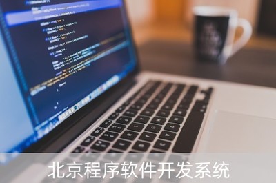 北京程序軟件開發(fā)系統(tǒng) 從開發(fā)到維護的職業(yè)前景與薪資探析